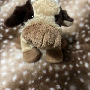 Webkinz Brown Cow NWOT